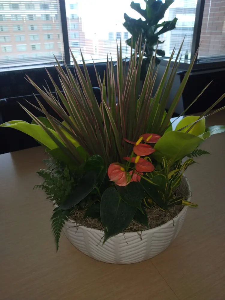 Centerpiece on a client conference table
