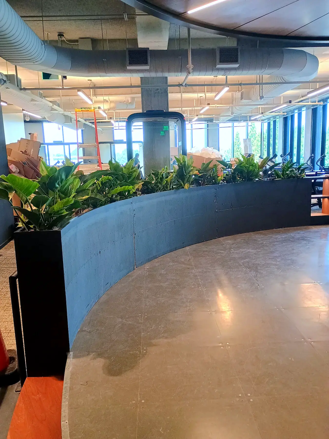 Mixed tropicals planted along a curved wall in an open office with an exposed ceiling
