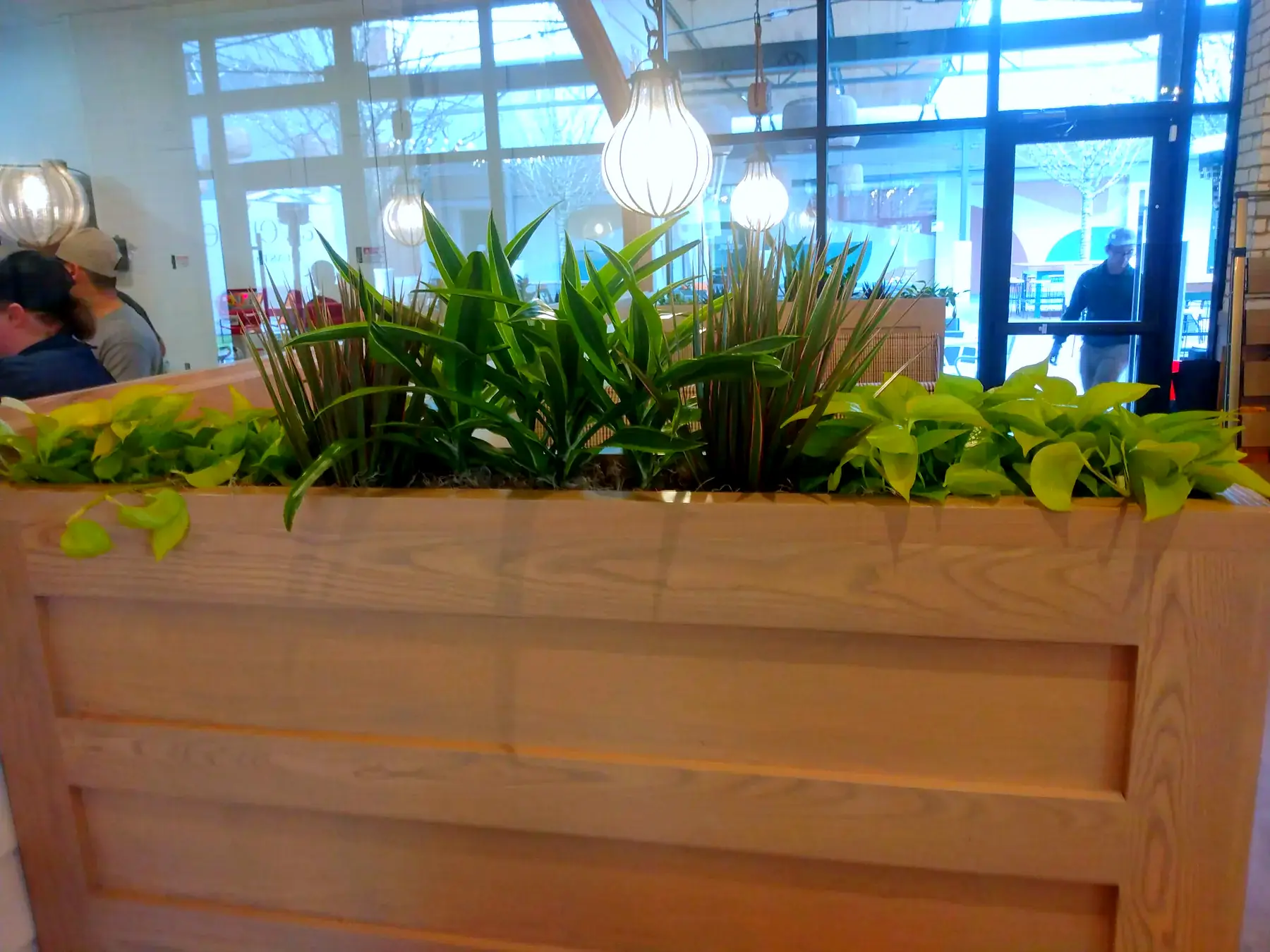 Wood planter box of tropicals above restaurant booth seating